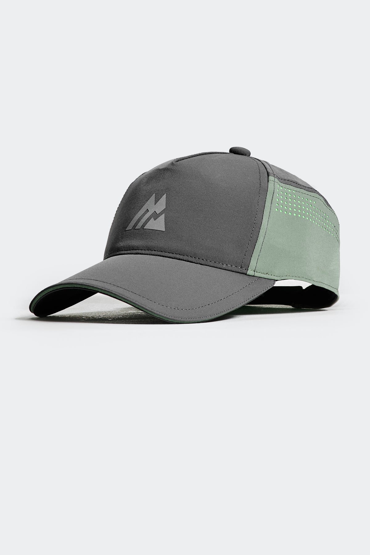 Endurance Cap - Asphalt/Green Slate/Chameleon