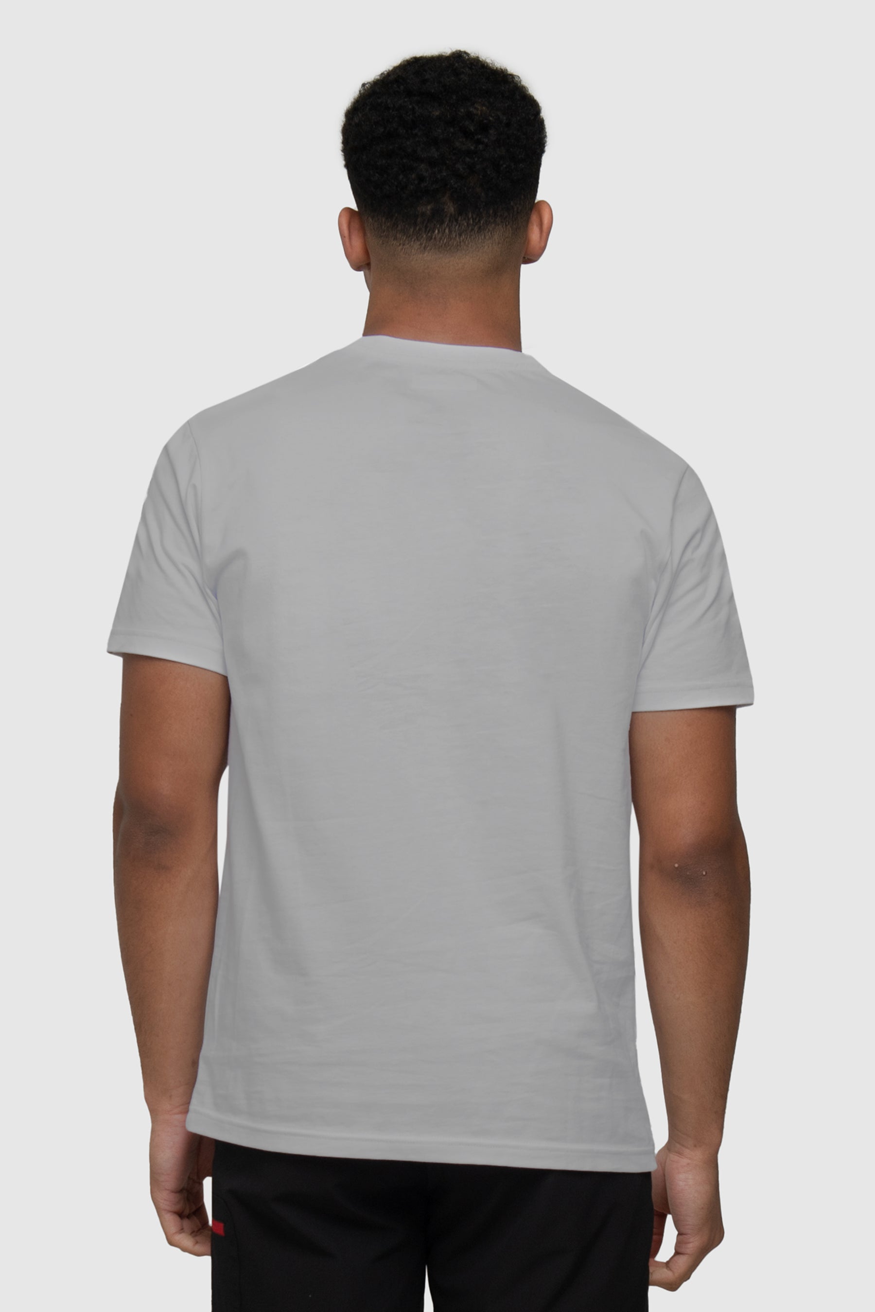 Trail Box T-Shirt - Platinum Grey - Montirex